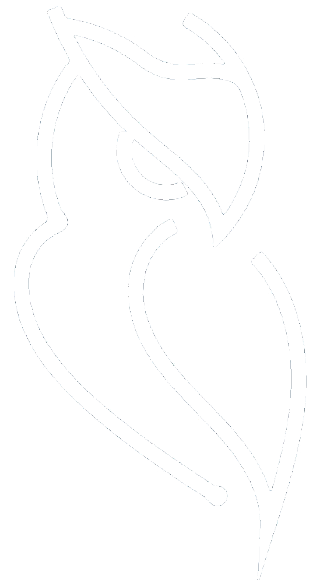 НОЦ Молодёжная наука